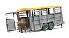 Livestock trailer with 1 cow